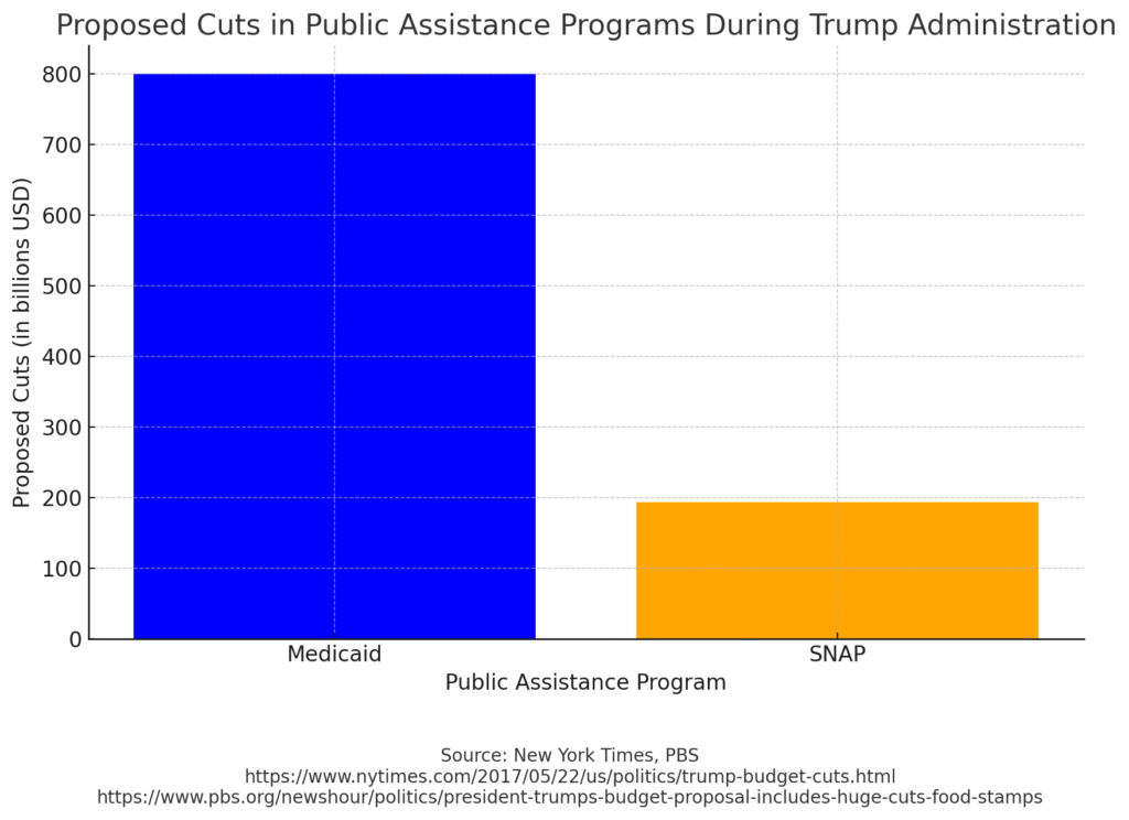 Bar chart showing proposed cuts in public assistance programs during the Trump administration, highlighting significant reductions in Medicaid (0 billion) and SNAP (3 billion). Source: New York Times, PBS.